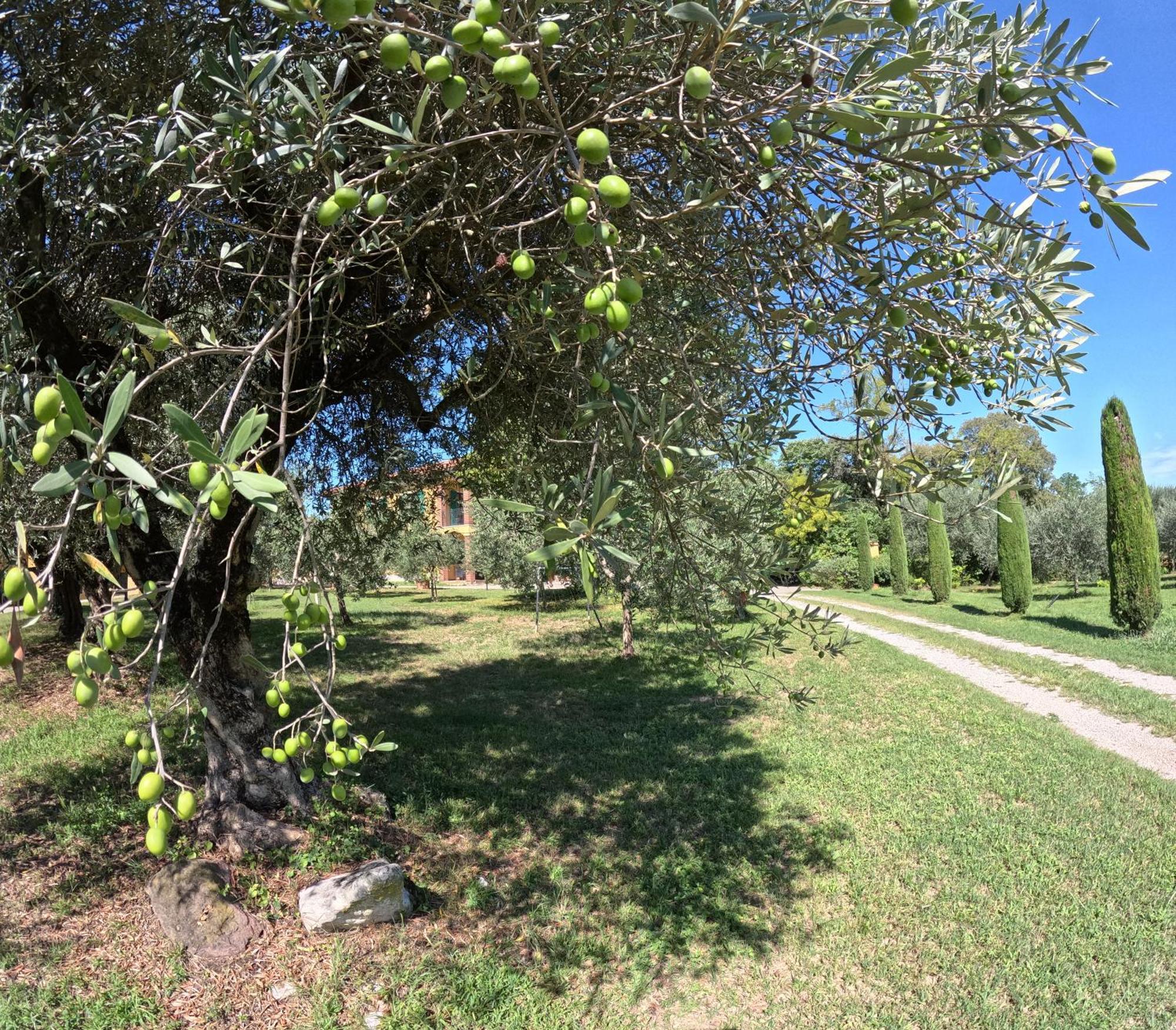 Agriturismo Gardenali Volta Mantovana Luaran gambar