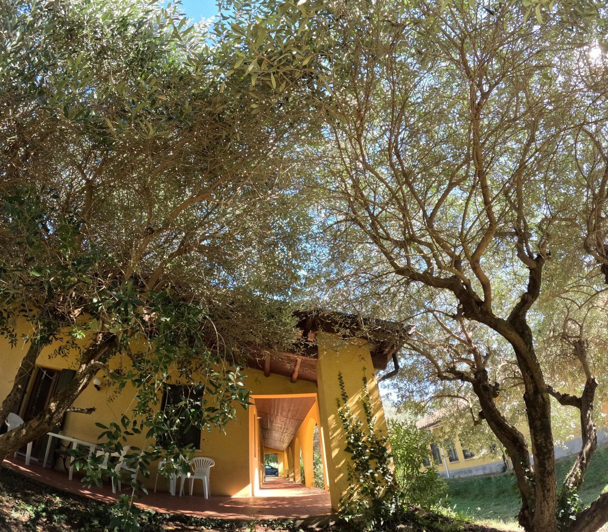 Agriturismo Gardenali Volta Mantovana Luaran gambar