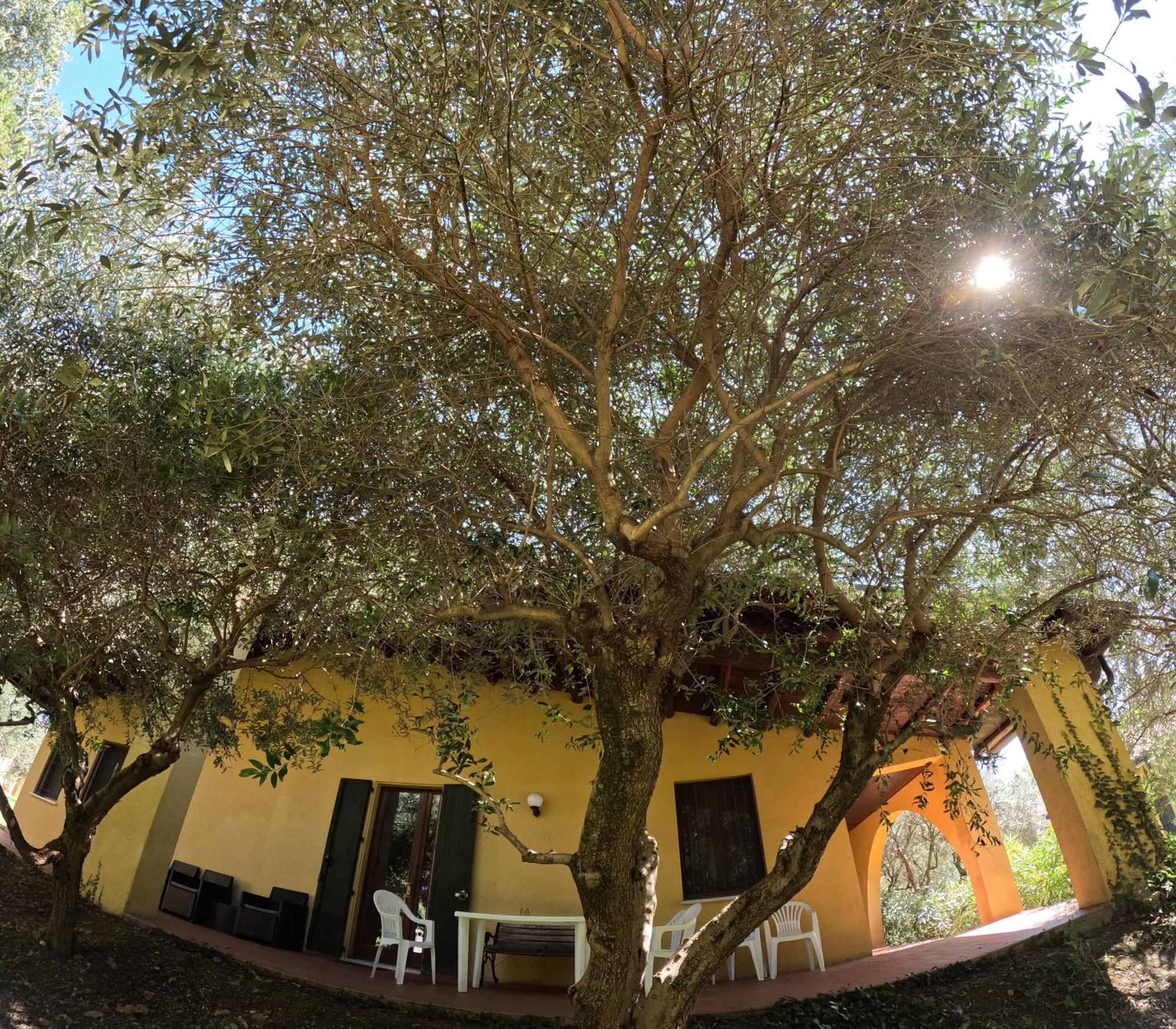 Agriturismo Gardenali Volta Mantovana Bilik gambar